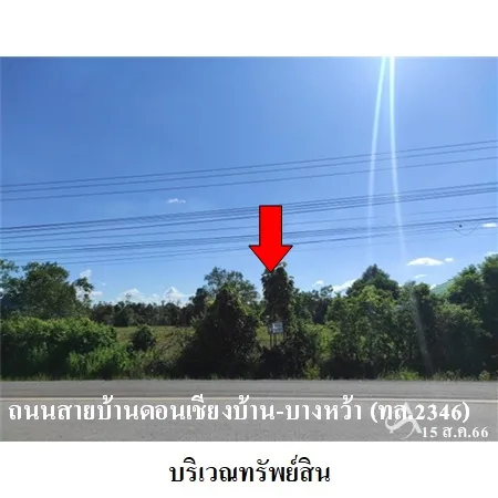 ที่ดินเปล่า นาหว้า นครพนม 3-0-18ไร่ - 4