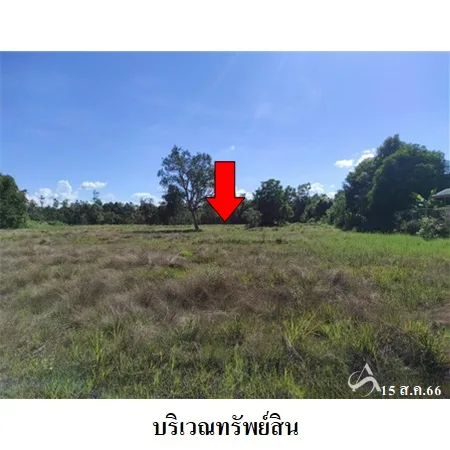 ที่ดินเปล่า นาหว้า นครพนม 3-0-18ไร่ - 5