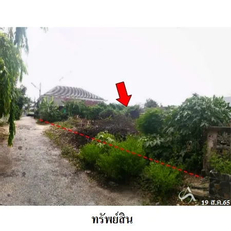 ที่ดินเปล่า พนัสนิคม ชลบุรี 0-1-17ไร่ - 3
