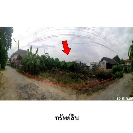 ที่ดินเปล่า พนัสนิคม ชลบุรี 0-1-17ไร่ - 4