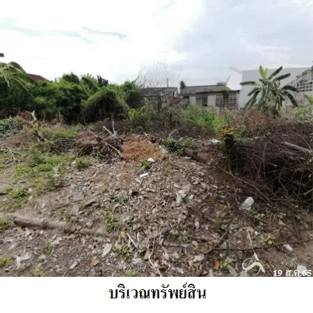 ที่ดินเปล่า พนัสนิคม ชลบุรี 0-1-17ไร่ - 5