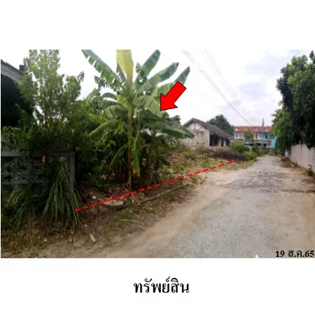 ที่ดินเปล่า พนัสนิคม ชลบุรี 0-1-17ไร่