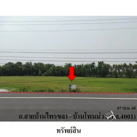 ที่ดินเปล่า ชุมพลบุรี สุรินทร์ 8-0-38ไร่ - 3