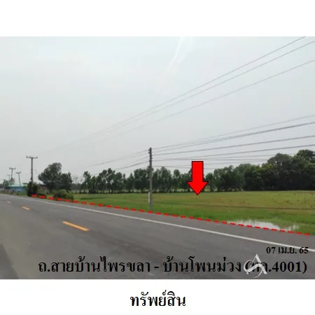 ที่ดินเปล่า ชุมพลบุรี สุรินทร์ 8-0-38ไร่ - 4