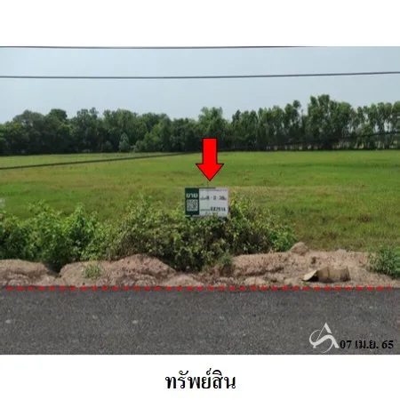 ที่ดินเปล่า ชุมพลบุรี สุรินทร์ 8-0-38ไร่ - 6