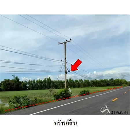 ที่ดินเปล่า ชุมพลบุรี สุรินทร์ 8-0-38ไร่