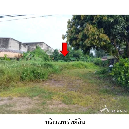 ที่ดินเปล่า เวียงสระ สุราษฎร์ธานี 1-0-63ไร่ - 4