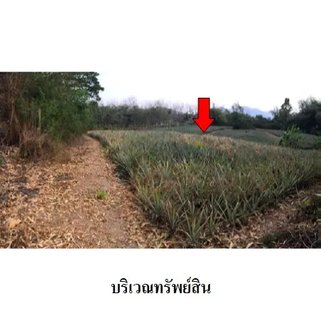 ที่ดินเปล่า เมือง ลำปาง 3-3-20ไร่ - 3