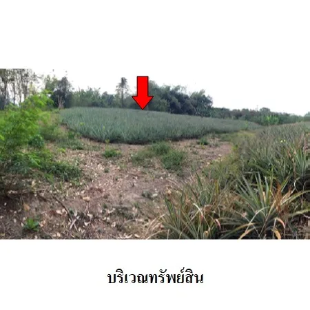 ที่ดินเปล่า เมือง ลำปาง 3-3-20ไร่ - 4