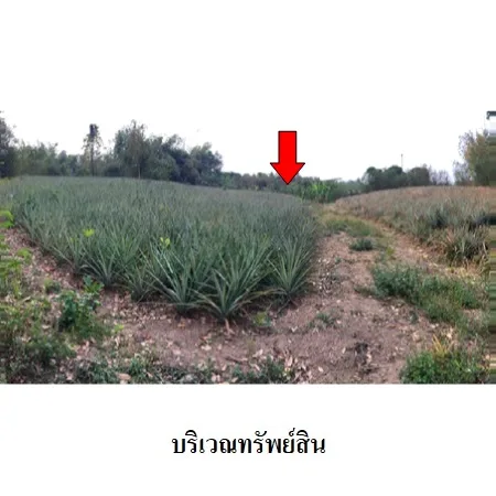 ที่ดินเปล่า เมือง ลำปาง 3-3-20ไร่ - 5