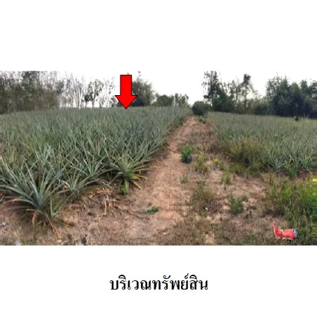 ที่ดินเปล่า เมือง ลำปาง 3-3-20ไร่ - 6