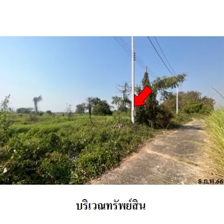 ที่ดินเปล่า แม่สาย เชียงราย 2-0-0ไร่ - 3