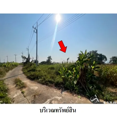 ที่ดินเปล่า แม่สาย เชียงราย 2-0-0ไร่