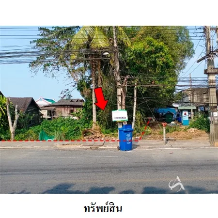 ที่ดินเปล่า พุนพิน สุราษฎร์ธานี 0-0-82ไร่ - 3