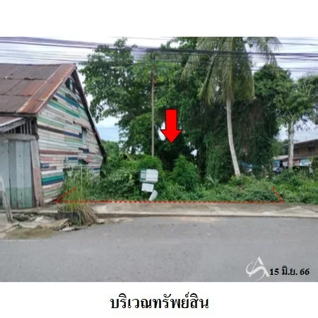 ที่ดินเปล่า พุนพิน สุราษฎร์ธานี 0-0-82ไร่