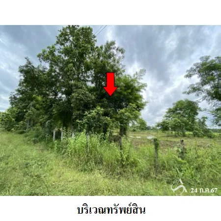 ที่ดินเปล่า อากาศอำนวย สกลนคร 3-3-45ไร่ - 6