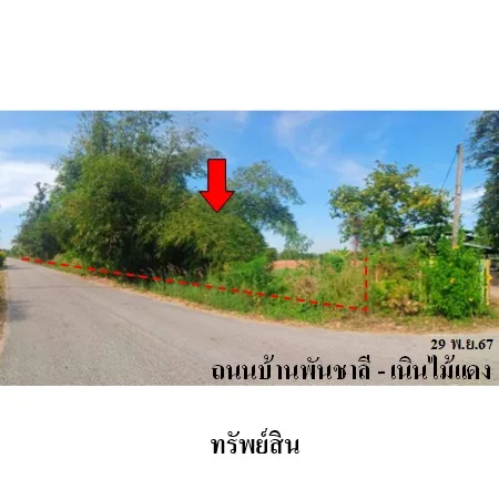 ที่ดินเปล่า วังทอง พิษณุโลก 10-3-59ไร่