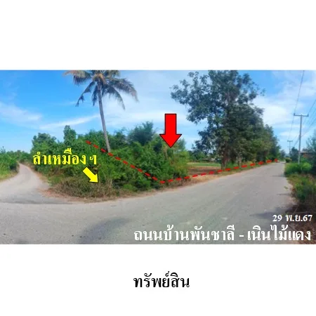 ที่ดินเปล่า วังทอง พิษณุโลก 10-3-59ไร่ - 5