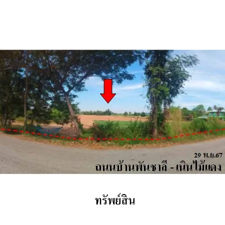 ที่ดินเปล่า วังทอง พิษณุโลก 10-3-59ไร่ - 6