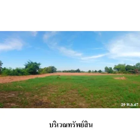 ที่ดินเปล่า วังทอง พิษณุโลก 10-3-59ไร่ - 7