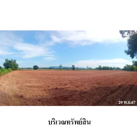 ที่ดินเปล่า วังทอง พิษณุโลก 10-3-59ไร่ - 8