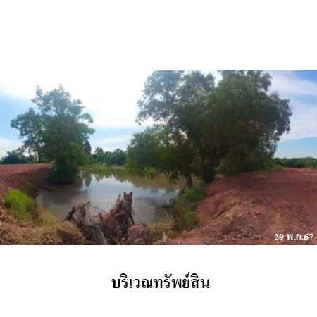 ที่ดินเปล่า วังทอง พิษณุโลก 10-3-59ไร่ - 9