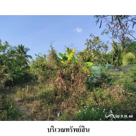 ที่ดินเปล่า กันทรารมย์ ศรีสะเกษ 0-1-9.6ไร่ - 4