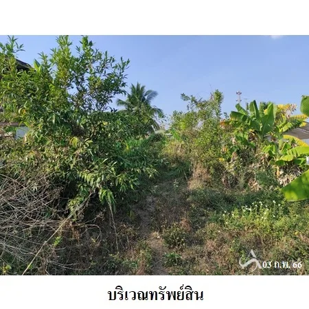 ที่ดินเปล่า กันทรารมย์ ศรีสะเกษ 0-1-9.6ไร่ - 5
