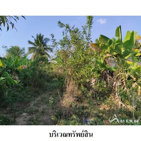 ที่ดินเปล่า กันทรารมย์ ศรีสะเกษ 0-1-9.6ไร่ - 6