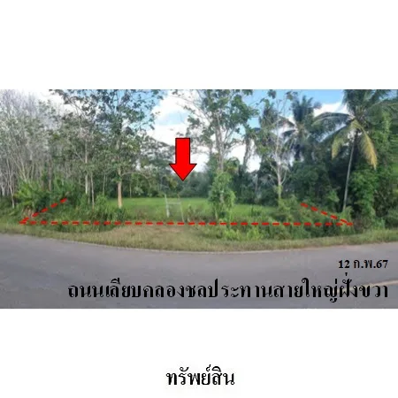 ที่ดินเปล่า นาโยง ตรัง 0-2-96ไร่