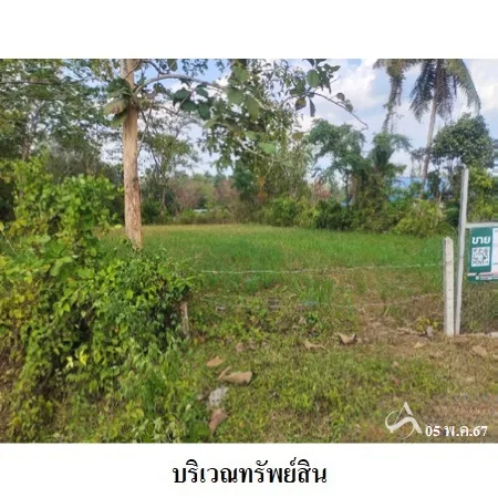 ที่ดินเปล่า นาโยง ตรัง 0-2-96ไร่ - 5