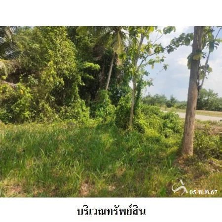 ที่ดินเปล่า นาโยง ตรัง 0-2-96ไร่ - 7