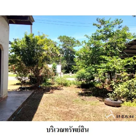 ที่ดินเปล่า ทุ่งตะโก ชุมพร 1-0-45ไร่ - 2