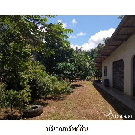 ที่ดินเปล่า ทุ่งตะโก ชุมพร 1-0-45ไร่ - 4
