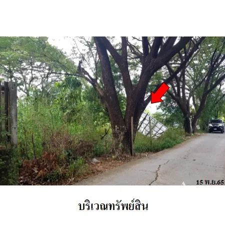 ที่ดินเปล่า คลองสามวา กรุงเทพฯ 0-1-50ไร่