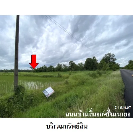 ที่ดินเปล่า อากาศอำนวย สกลนคร 2-2-41ไร่
