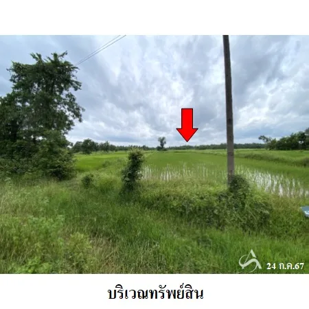 ที่ดินเปล่า อากาศอำนวย สกลนคร 2-2-41ไร่ - 4