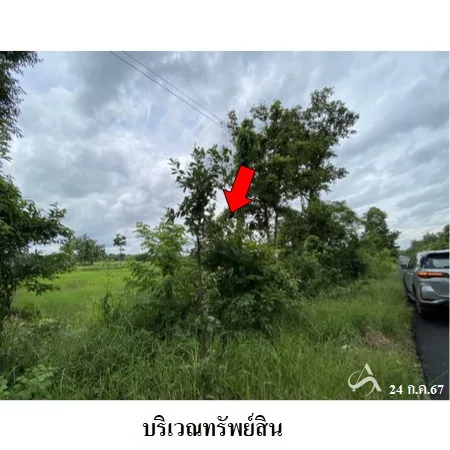 ที่ดินเปล่า อากาศอำนวย สกลนคร 2-2-40ไร่ - 4