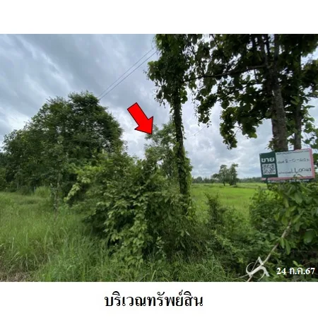 ที่ดินเปล่า อากาศอำนวย สกลนคร 2-2-40ไร่ - 5