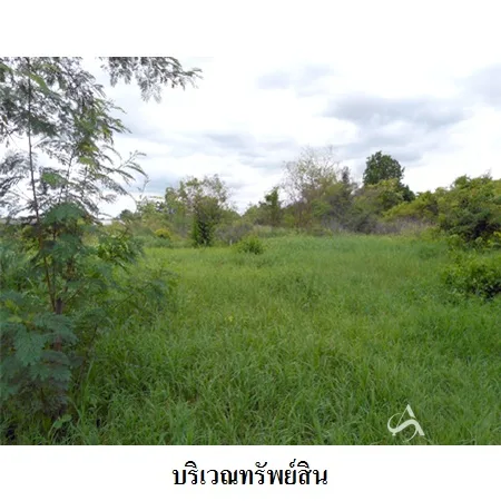 ที่ดินเปล่า เมือง ขอนแก่น 0-1-10.7ไร่ - 5