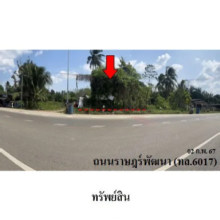 ที่ดินเปล่า เมือง กระบี่ 0-0-87ไร่ - 5