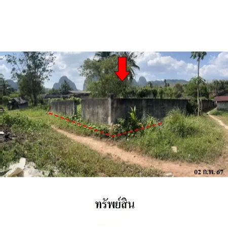 ที่ดินเปล่า เมือง กระบี่ 0-0-87ไร่ - 7