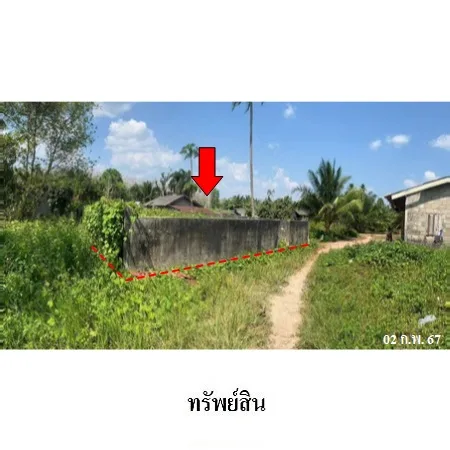 ที่ดินเปล่า เมือง กระบี่ 0-0-87ไร่ - 8