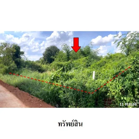 ที่ดินเปล่า กุมภวาปี อุดรธานี 2-1-0ไร่ - 6