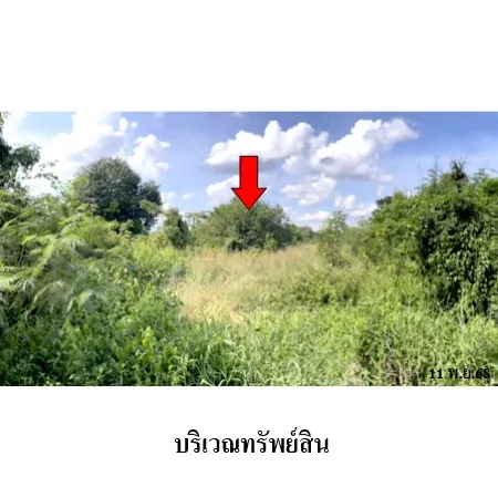 ที่ดินเปล่า กุมภวาปี อุดรธานี 2-1-0ไร่ - 7