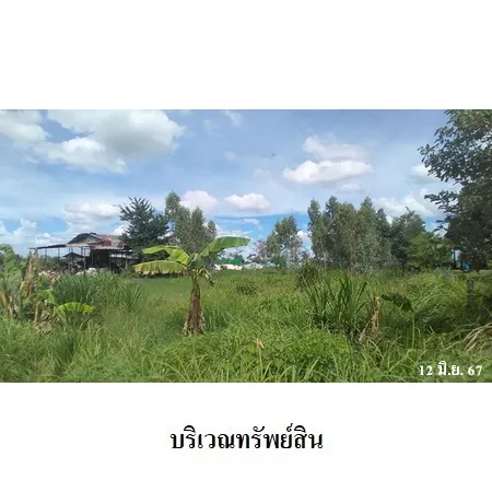 ที่ดินเปล่า เดชอุดม อุบลราชธานี 0-3-85.3ไร่ - 4