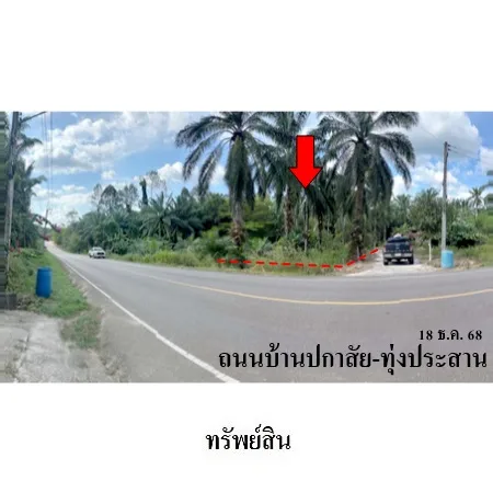 ที่ดินเปล่า เหนือคลอง กระบี่ 1-2-63ไร่