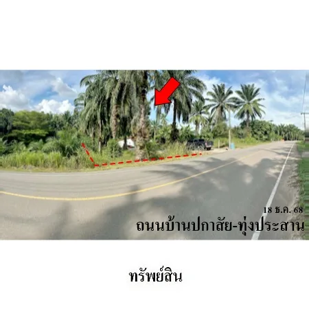 ที่ดินเปล่า เหนือคลอง กระบี่ 1-2-63ไร่ - 4