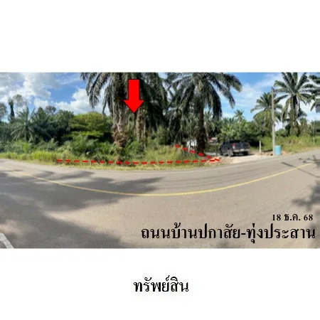 ที่ดินเปล่า เหนือคลอง กระบี่ 1-2-63ไร่ - 5