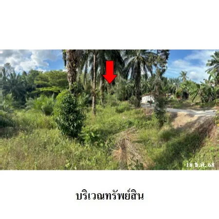 ที่ดินเปล่า เหนือคลอง กระบี่ 1-2-63ไร่ - 6
